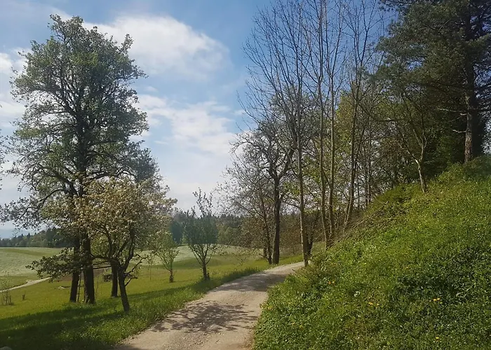 Appartamento Larch House Cerklje na Gorenjskem